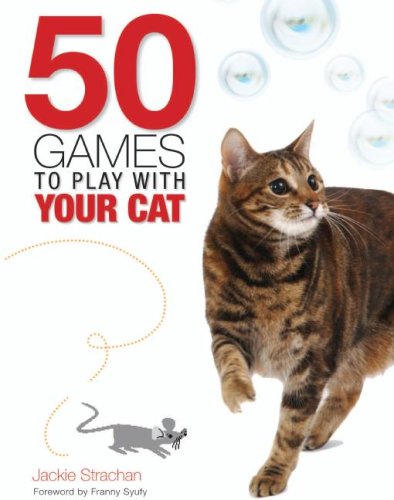 50 games to play with Your cat