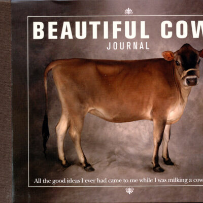 Beautiful-Cows